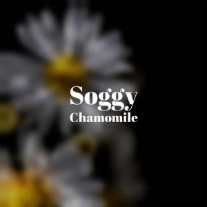 收聽Hyra Weer的Soggy Chamomile歌詞歌曲