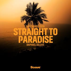 Listen to Straight To Paradise song with lyrics from Nate VanDeusen