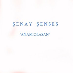 收聽Şenay Şenses的Eminem歌詞歌曲