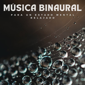 Album Música binaural para un estado mental relajado oleh Realidad Binaural