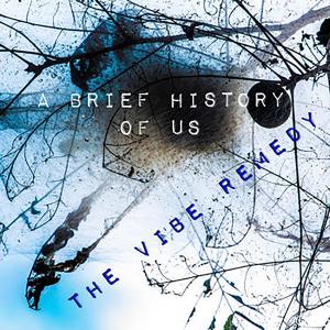 ดาวน์โหลดและฟังเพลง Im No Perfect พร้อมเนื้อเพลงจาก The Vibe Remedy