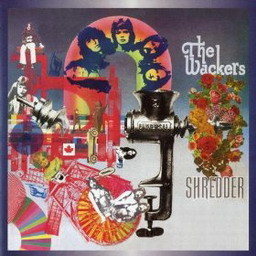 ดาวน์โหลดและฟังเพลง Beach Song พร้อมเนื้อเพลงจาก The Wackers