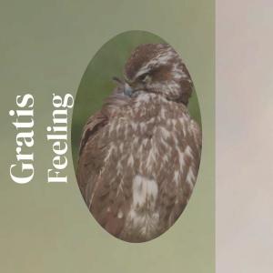 收聽Liette的Detain歌詞歌曲