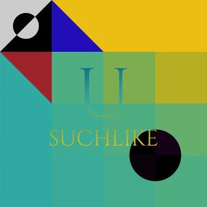 อัลบัม U Suchlike ศิลปิน Various