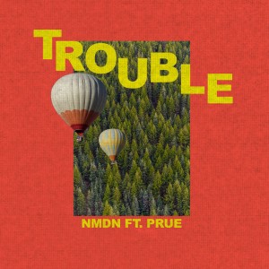 NMDN的專輯Trouble