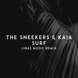 The Sneekers的專輯Surf (Linas Music Remix)