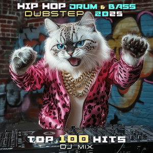 收聽Charly Stylex的Hip Hop Drum & Bass Dubstep 2025 Top 100 Hits (Continuous DJ Mix|Explicit)歌詞歌曲