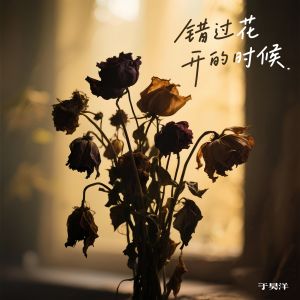 收听于昊洋的错过花开的时候歌词歌曲