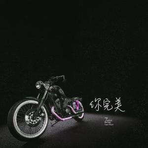 Listen to 你完美 song with lyrics from Zadon