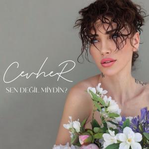 Dengarkan lagu Sen Değil Miydin? nyanyian Cevher dengan lirik