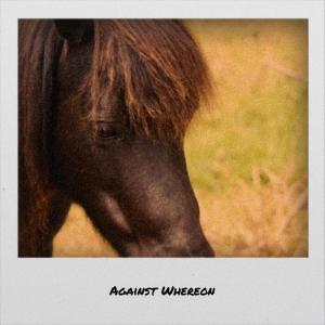 Album Against Whereon from Various