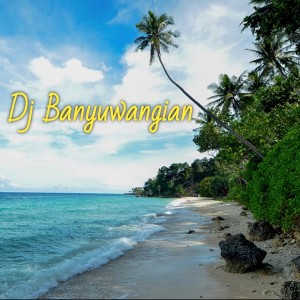 Dengarkan Dj Banyuwangi Impen Impenen lagu dari Qipli Bdl dengan lirik