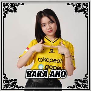Album DJ BAKA AHO oleh Nanda Lia