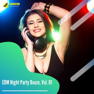 Album EDM Night Party Booze, Vol. 01 from Various
