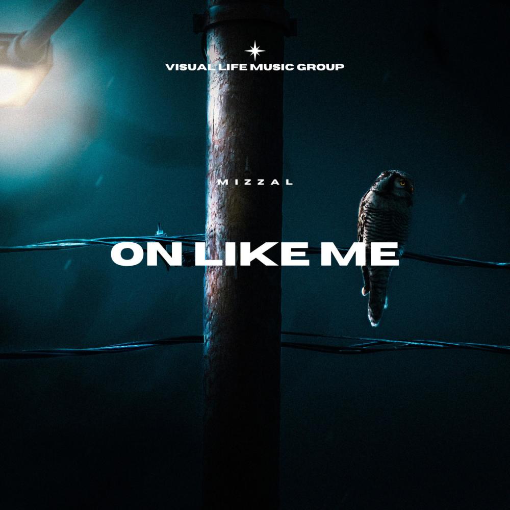 On Like Me (Explicit)