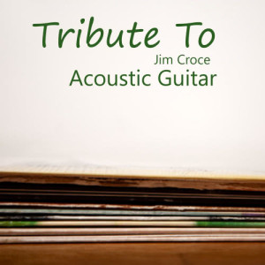 收聽Acoustic Guitar Tribute Players的I'll Have to Say I Love You in a Song歌詞歌曲