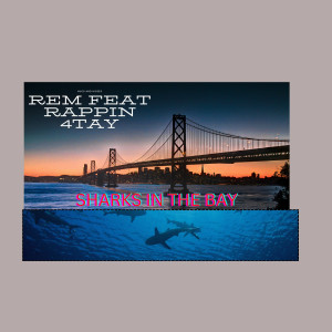 Album Sharks in the bay oleh Rem