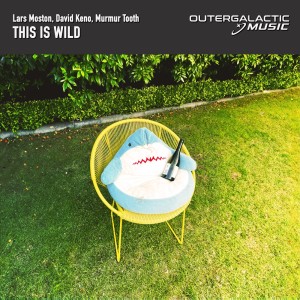 ดาวน์โหลดและฟังเพลง This Is Wild พร้อมเนื้อเพลงจาก Lars Moston