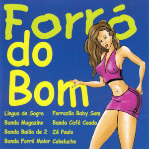 收聽Forrozão Baby Som的Amor Sem Fim (Forever And Ever)歌詞歌曲