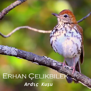 ดาวน์โหลดและฟังเพลง Sensiz Olmaz พร้อมเนื้อเพลงจาก Erhan Çelikbilek