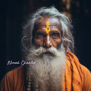 อัลบัม Meditation of the Old Monk (Thailand Mood) ศิลปิน Nimah Chantis