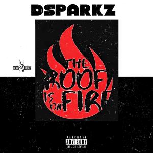 Dsparkz的專輯The Roof Is On Fire (Explicit)