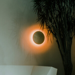 Tim Henson的專輯Sunset (feat. Cory Wong & Plini)