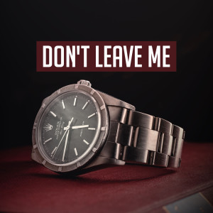 ดาวน์โหลดและฟังเพลง DON'T LEAVE ME พร้อมเนื้อเพลงจาก BLPZ