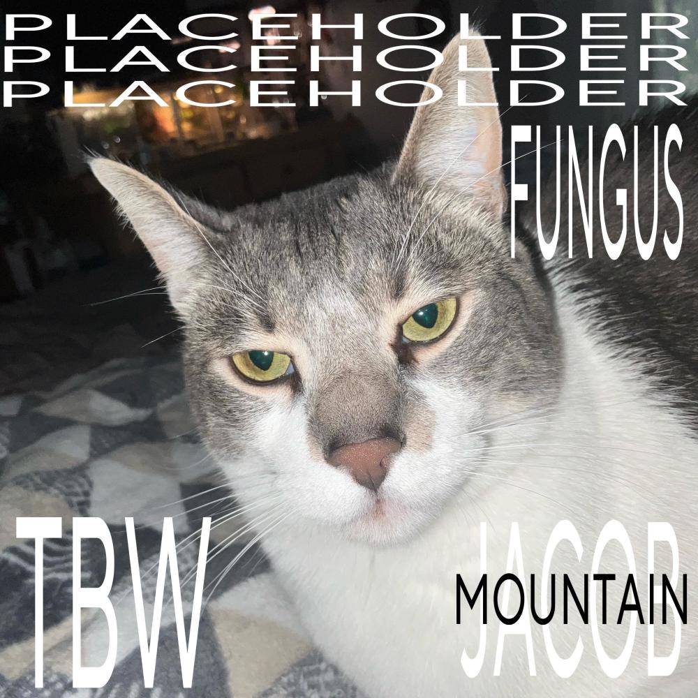 PLACEHOLDER (feat. Death-Is-Well)