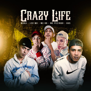 Various Artists的專輯Crazy Life (Explicit)