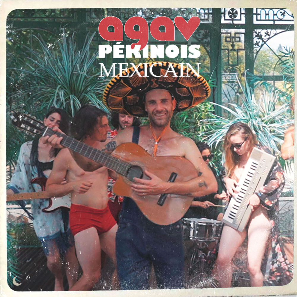 Pékinois Mexicain (Explicit)