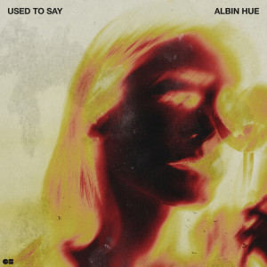 Listen to Used To Say (Extended Mix) song with lyrics from Albin Hue