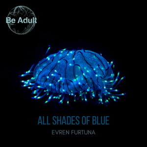 Evren Furtuna的专辑All Shades of Blue