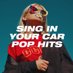 The Pop Heroes的專輯Sing in Your Car Pop Hits