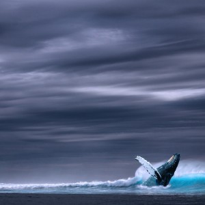 Listen to Diamond Rain song with lyrics from Sounds of Nature Relaxation