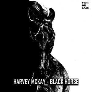 Harvey Mckay的專輯Black Horse