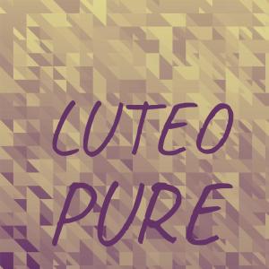 Listen to Taste Whom song with lyrics from Chane Klap