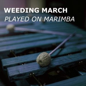 ดาวน์โหลดและฟังเพลง Wedding March (Marimba Version) พร้อมเนื้อเพลงจาก Wedding March