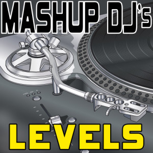 Mashup DJ's的專輯Levels (Remix Tools for Mash-Ups)