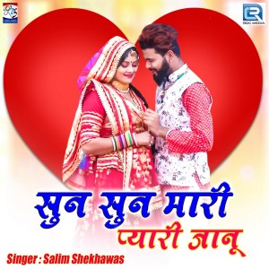 Listen to Sun Sun Mhari Pyari Janu song with lyrics from Salim Shekhawas