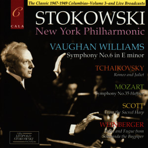 ดาวน์โหลดและฟังเพลง Symphony No.6 in E Minor: I. Allegro พร้อมเนื้อเพลงจาก New York Philharmonic