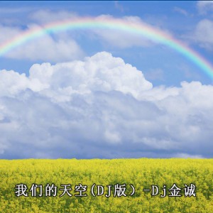 Album 我们的天空(DJ版) from Dj金诚