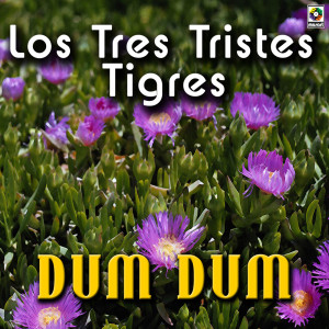 收聽Los Tres Tristes Tigres的Dum Dum歌詞歌曲