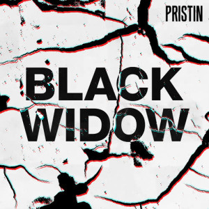 Listen to Black Widow (Remix Ver.) (REMIX VER.) song with lyrics from PRISTIN