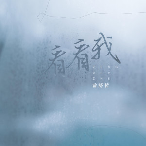 Listen to 看看我 (伴奏) song with lyrics from 曾舒哲
