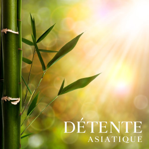 Listen to Échos de l'esprit libre song with lyrics from Musique Apaisante de Fond New Age