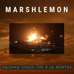 收听Marshlemon的Krishan Singh Thé à la Menthe歌词歌曲