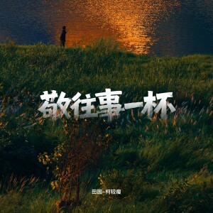 Album 敬往事一杯 oleh 田园