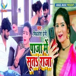 Album Paja Me Suta Raja from Mithlesh Premi