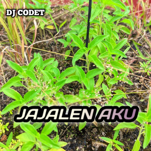 Listen to JAJALEN AKU song with lyrics from DJ CODET
